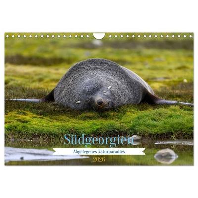 Südgeorgien - Abgelegenes Naturparadies (Wandkalender 2026 DIN A4 quer), CALVENDO Monatskalender