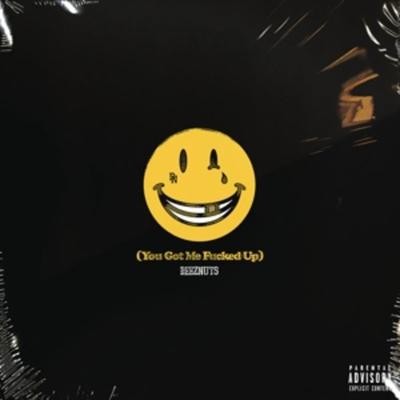You Got Me Fucked Up - Deez Nuts, CD