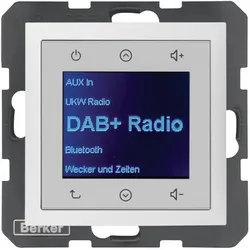 Berker 29849909 (DAB), Radio, Schwarz