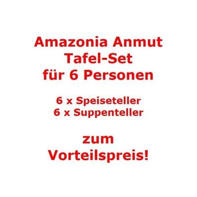 Villeroy & Boch Amazonia Anmut Tafel-Set für 6 Personen / 12 Teile