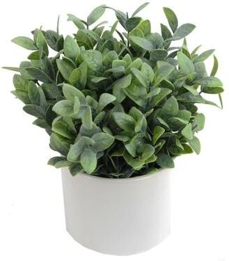 Admired by Nature Artificial Frosted Ruscus Plant with Ceramic Pot. - ABN5P022-NTRL-R