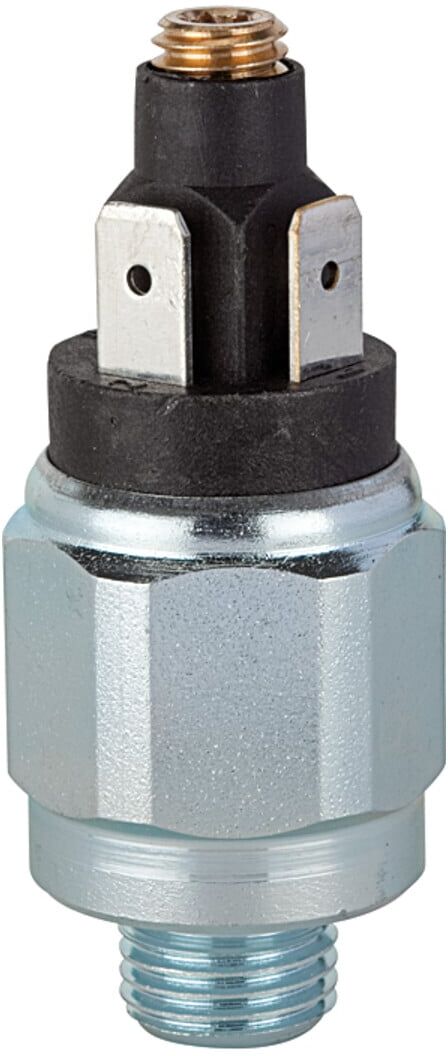 Riegler Druckschalter, Standard, Stahl verz., G 1/8, 1 - 10 bar, Ã–ffner (DS 4022)