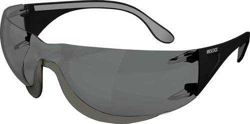 Moldex ADAPT 2K Solar 140201 Schutzbrille inkl. UV-Schutz Durchsichtig EN 170