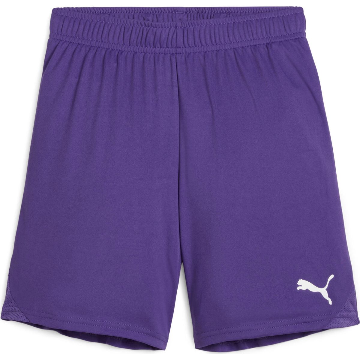 Puma Teamgoal Shorts Jr team violet-puma white (10) 128 705753-10-128