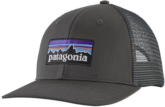 Patagonia P-6 Logo Trucker Hat