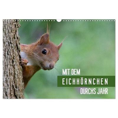 Mit dem Eichhörnchen durchs Jahr (Wandkalender 2027 DIN A3 quer), CALVENDO Monatskalender