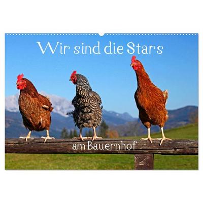 Wir sind die Stars am Bauernhof (Wandkalender 2026 DIN A2 quer), CALVENDO Monatskalender