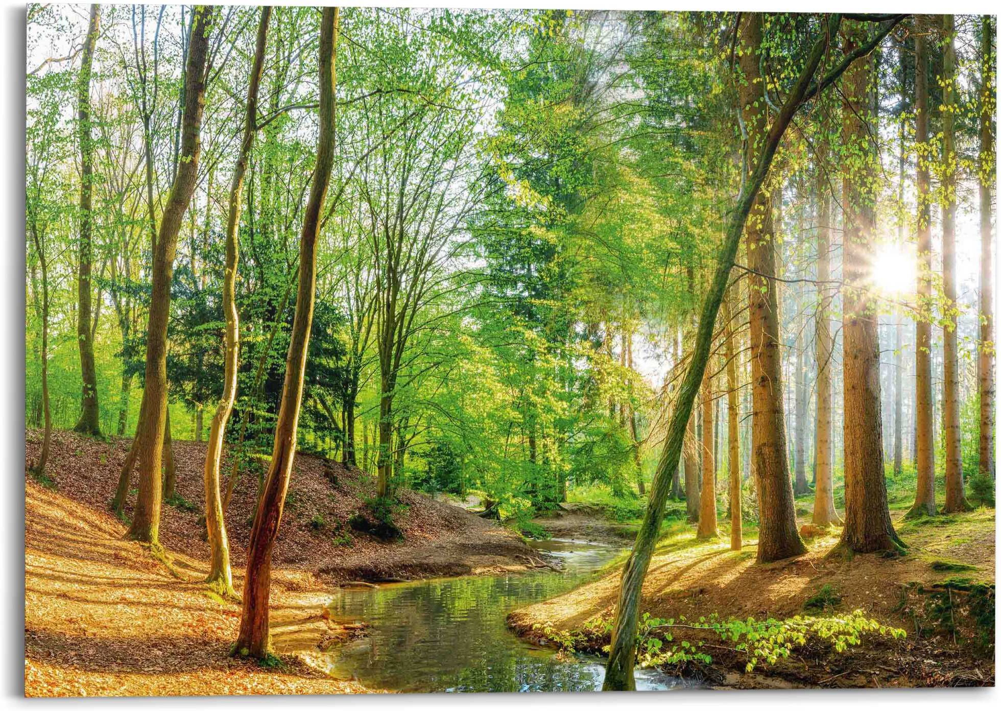 Reinders! Deco-Panel REINDERS "Sonniger Wald", grün (farbe bild(er): grün), B:140cm H:100cm T:2cm, Bilder, Deco-Panel, Hobbyraum - Grün - MDF - Wald - 140x100 cm farbe bild(er): grün B/H/T: 140cm x 100cm x 2cm