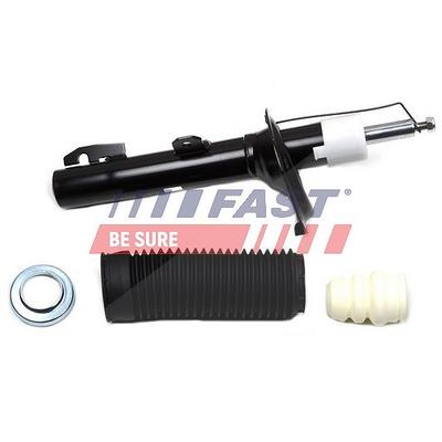 Fast Stoßdämpfer [Hersteller-Nr. FT11308] für Ford