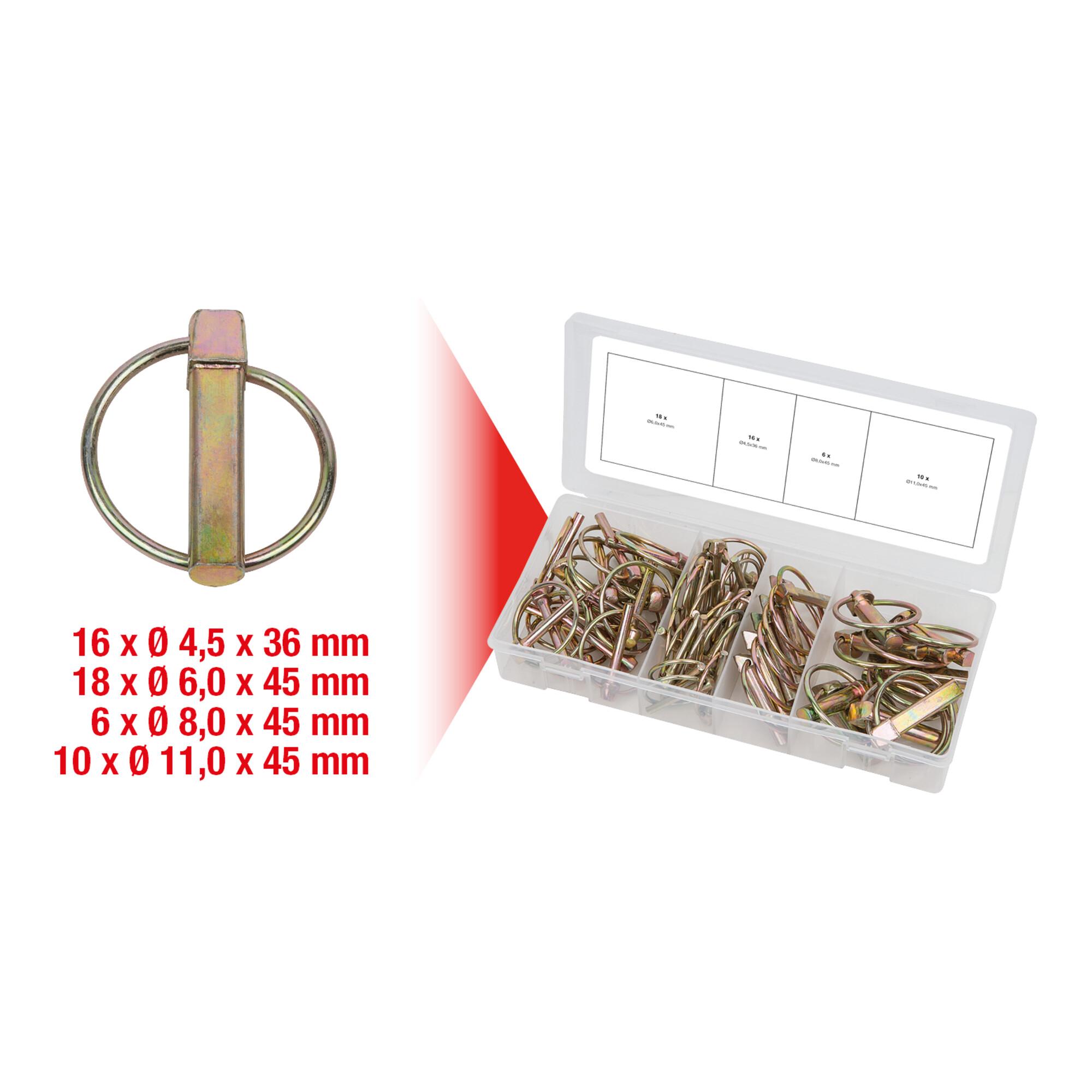 KS Tools Sortiment Klappsplinte, 50-teilig (970.0550)