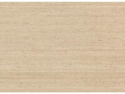 York Wallcoverings Arrowroot Cream Wallpaper