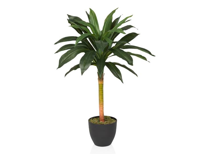Plante Artificielle Dracaena I Vert Hjh Office