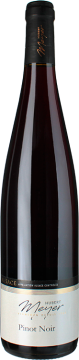 Hubert Meyer & Fils Pinot Noir 2024 - Hubert Meyer - Alsace Pinot Noir - Rotwein - 0.75L Elsass
