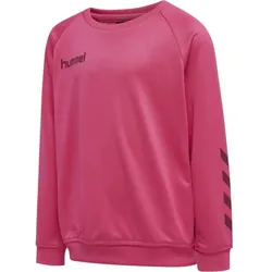 hummel Hmlpromo Kids Poly Sweatshirt - Kinder - raspberry sorbet