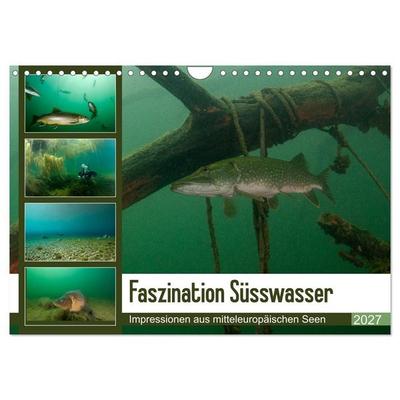 Faszination Süsswasser (Wandkalender 2027 DIN A4 quer), CALVENDO Monatskalender