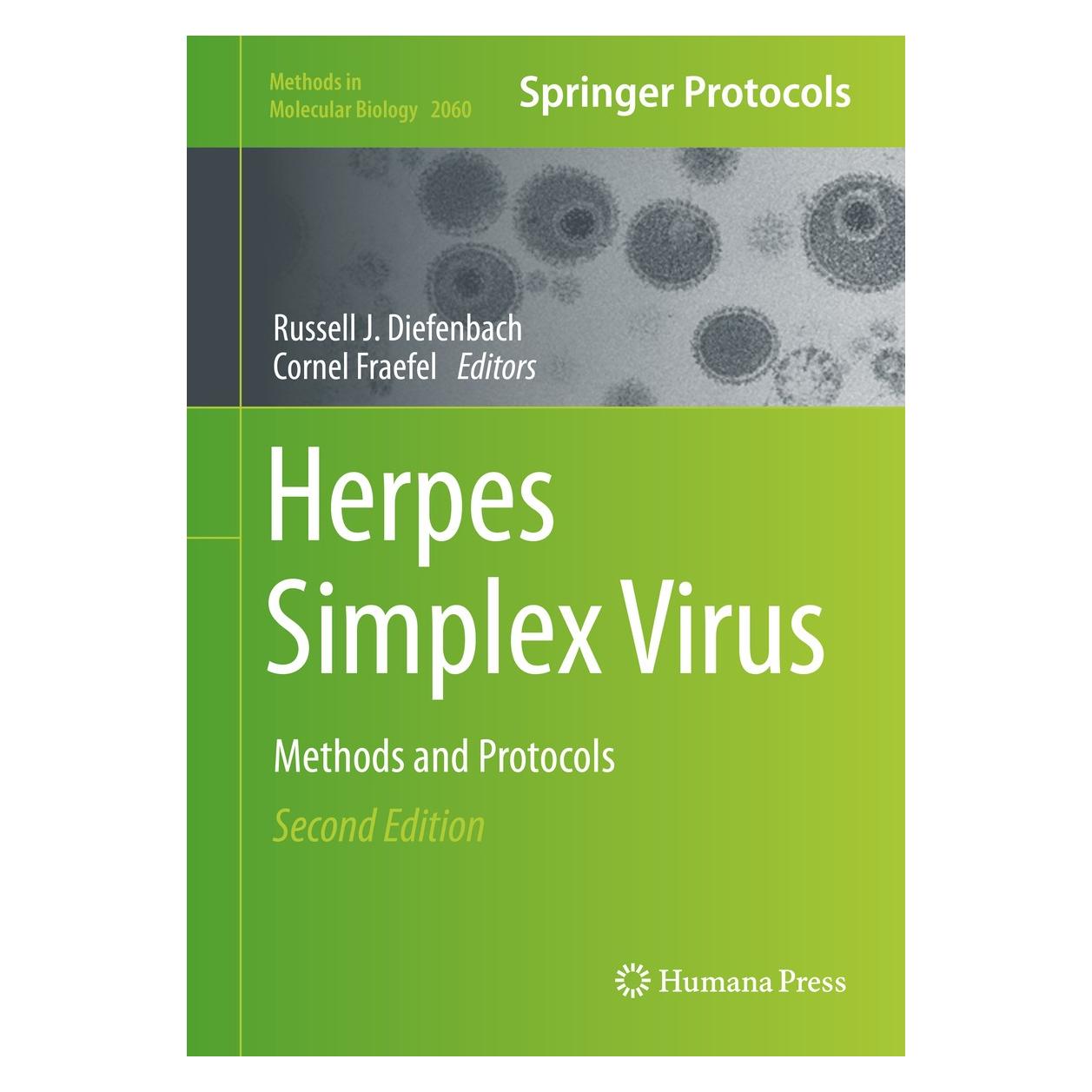 Springer Herpes Simplex Virus (Englisch, Hardcover, Cornel Fraefel, Russell J. Diefenbach) (9781493998135)