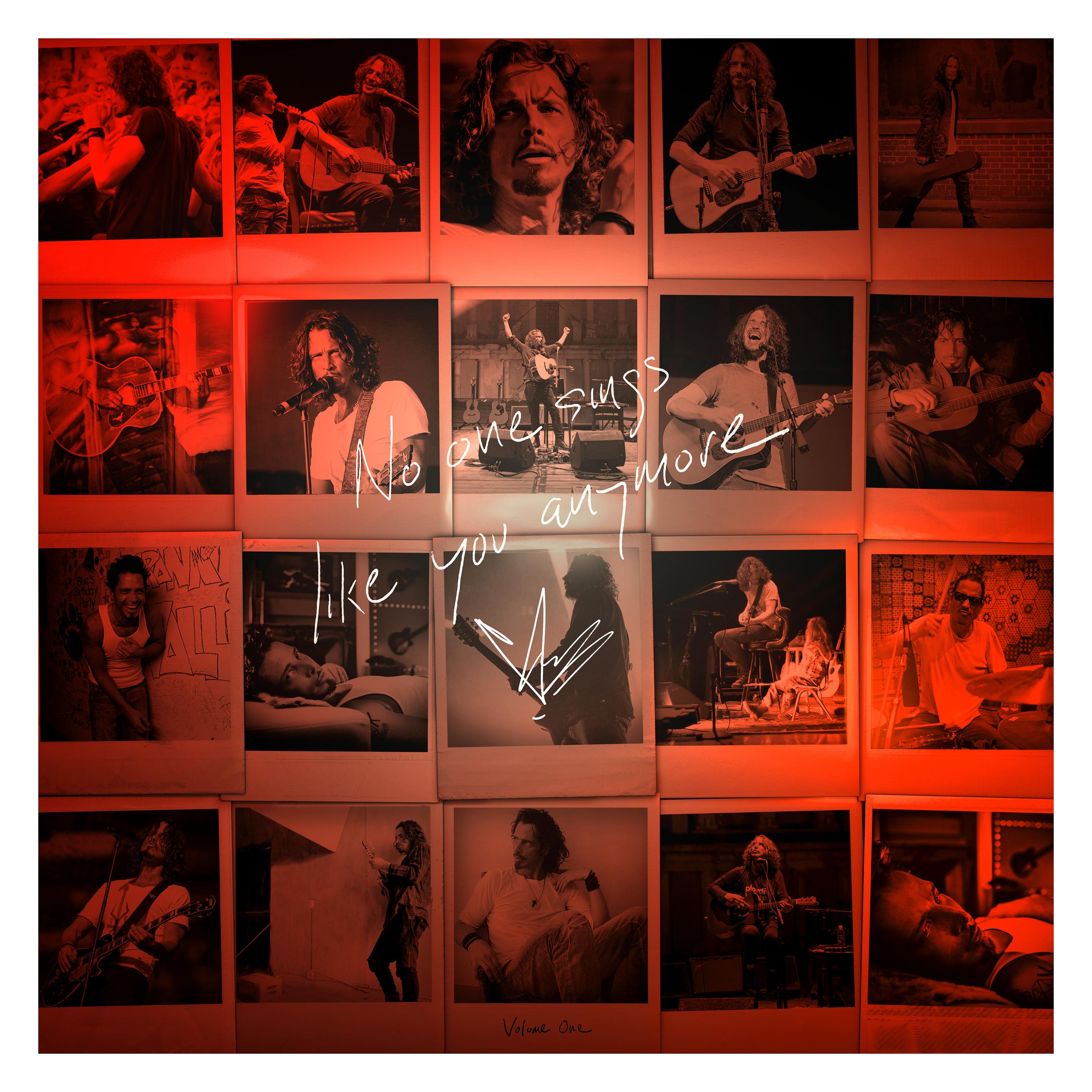 Interscope No One Sings Like You Anymore (Vinyl) (Chris Cornell (ex-Soundgarden)) (33084402)