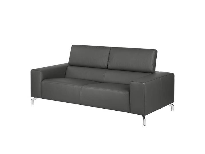 Sofa 2,5-Sitzer Echtleder Grau/Dunkelgrau Echtleder 197 x 75 x 106cm Modern