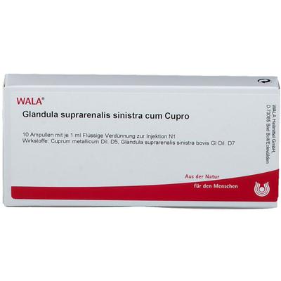 Glandula Suprarenalis sinistra cum Cupro Ampullen 10x1 ml