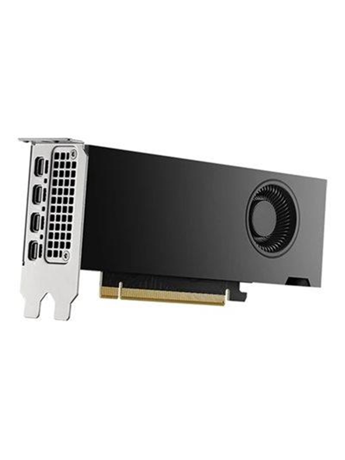 Dell RTX 2000 Ada - 16GB GDDR6 RAM - Grafikkarte