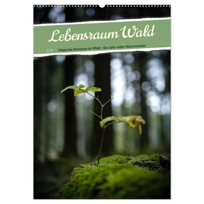 Lebensraum Wald (Wandkalender 2026 DIN A2 hoch), CALVENDO Monatskalender