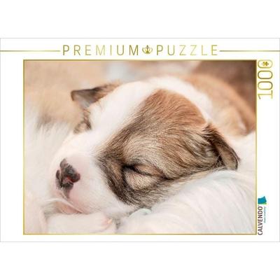 CALVENDO Puzzle Im Reich der Träume | 1000 Teile Lege-Größe 64x48cm Foto-Puzzle für glückliche Stunden