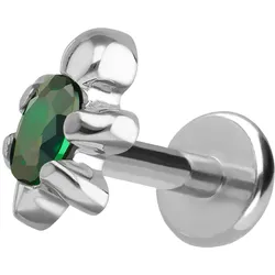 Titan Labret mit Push Fit SCHILDKRÖTE
