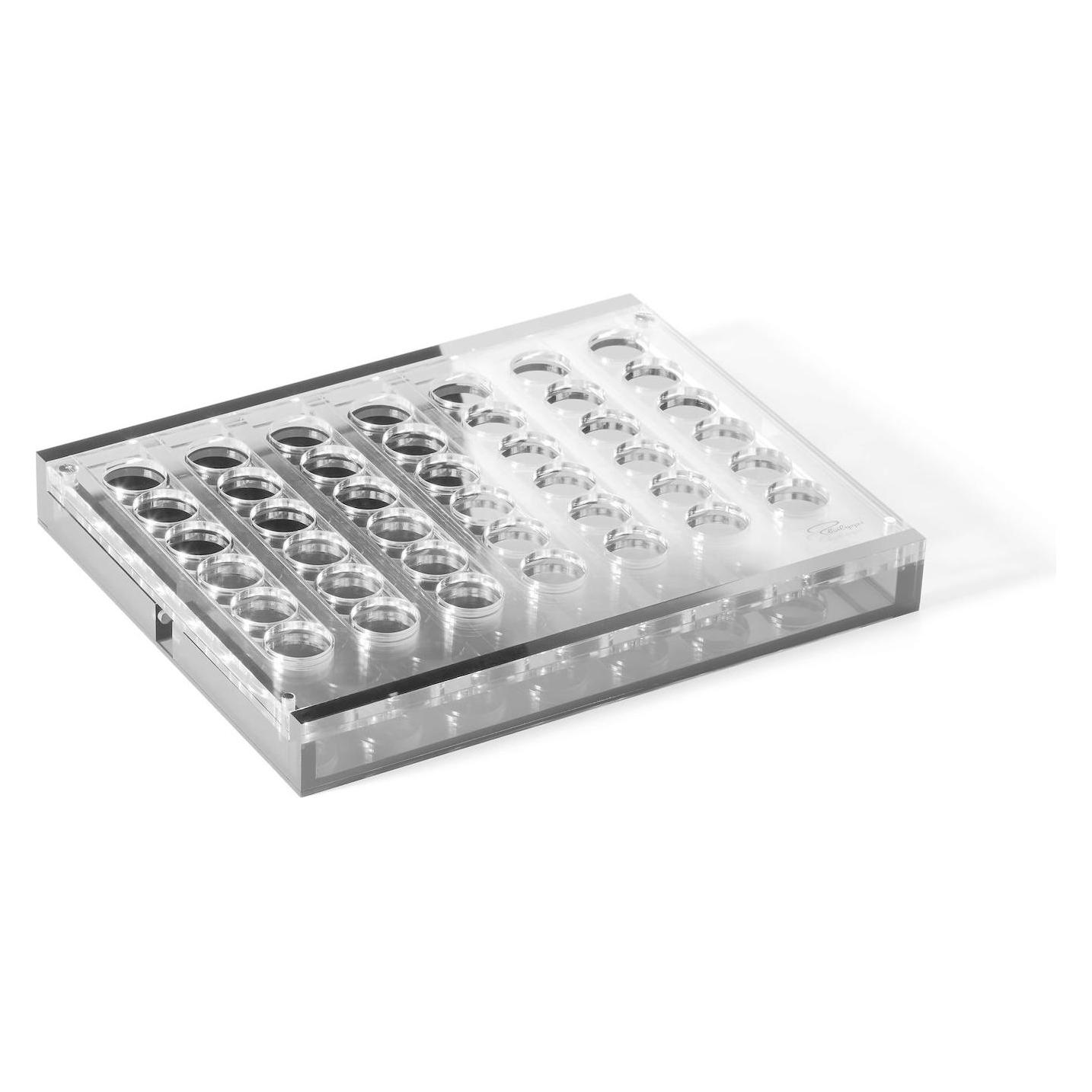 Philippi Spiel 4 in Folge YAP (66634701)