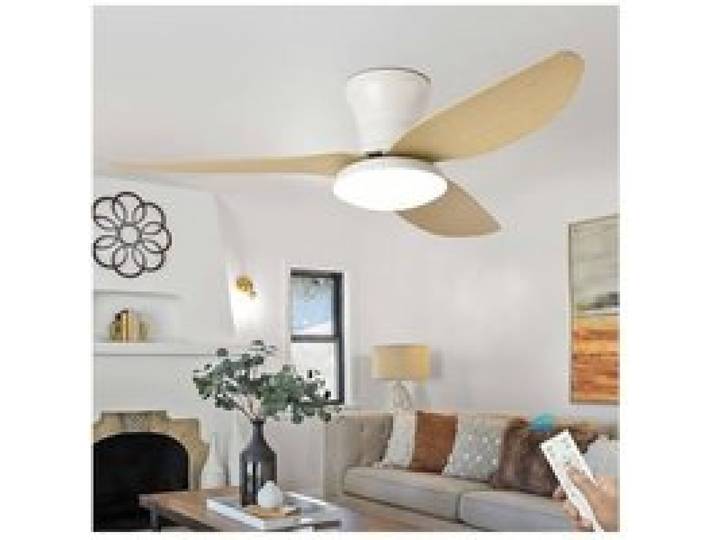 Grande Plafonnier Ventilateur de Plafond Salon Dimmable Télécommande LED Lustre Ventilateur De Plafond Réversible Silencieux Dc