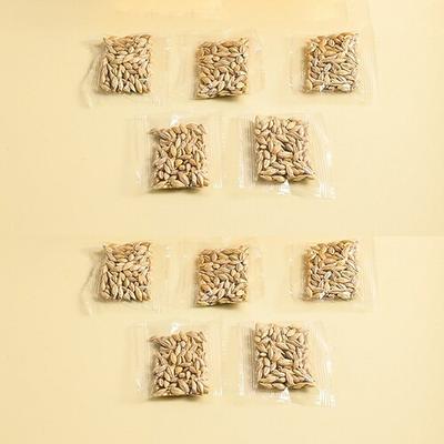 Neue hydroponische Katzengras-Box, Katzensnack, Katzenminze, hydroponische erdlose Bepflanzung, Katzengras-Topf-Set, Katzengras-Box