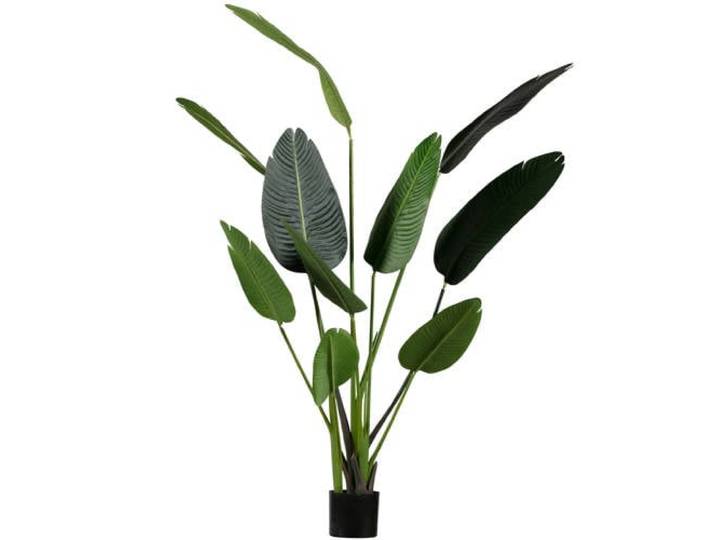 WOOOD WOOOD Strelitzia Kunstplant - Groen - 96x164x63