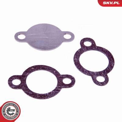 ESEN SKV Reparatursatz, Saugrohrmodul 14SKV546