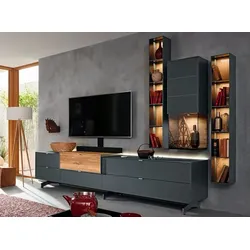 Musterring TV-Lowboard Q-Media 2.0 Holz Grau
