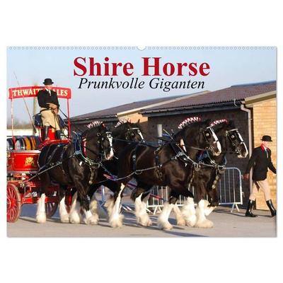 Shire Horse • Prunkvolle Giganten (Wandkalender 2027 DIN A2 quer), CALVENDO Monatskalender