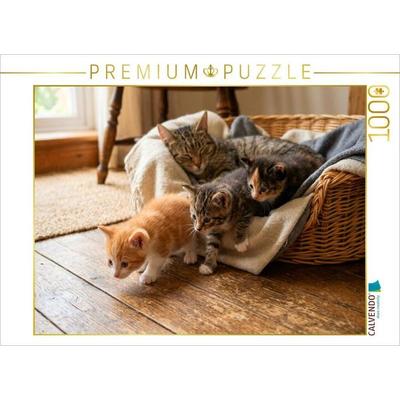 CALVENDO Puzzle Heimlicher Aufbruch - Kätzchen erkunden die Welt | 1000 Teile Lege-Größe 64x48cm Foto-Puzzle für glückliche Stunden