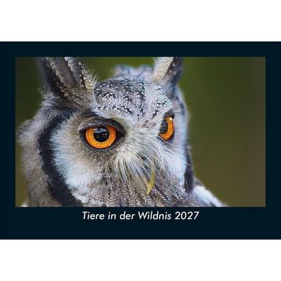 Tiere in der Wildnis 2027 Fotokalender DIN A5