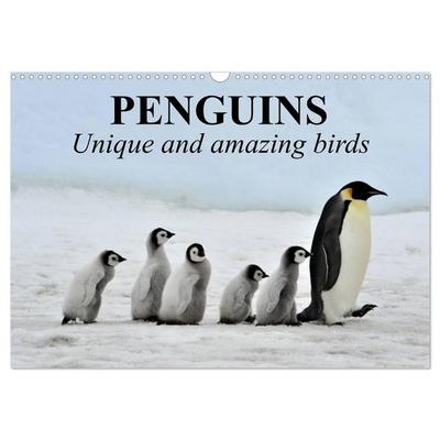 Penguins Unique and amazing birds (Wall Calendar 2027 DIN A3 landscape), CALVENDO 12 Month Wall Calendar