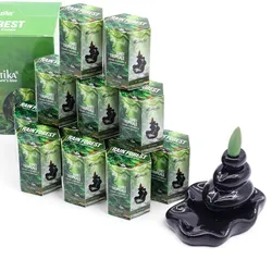 Masala Backflow Incense pack of 10 - Rain Forest
