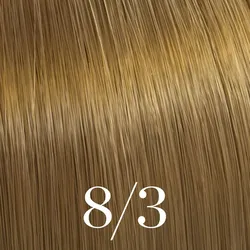 Color Touch Rich Naturals - 8/3 hellblond gold