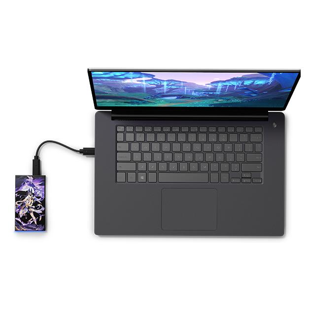 Seagate Game Drive for External SSD Genshin Imp (1 TB) (STMU1000402)