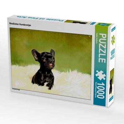 CALVENDO Puzzle Niedlicher Hundewelpe | 1000 Teile Lege-Größe 64x48cm Foto-Puzzle für glückliche Stunden