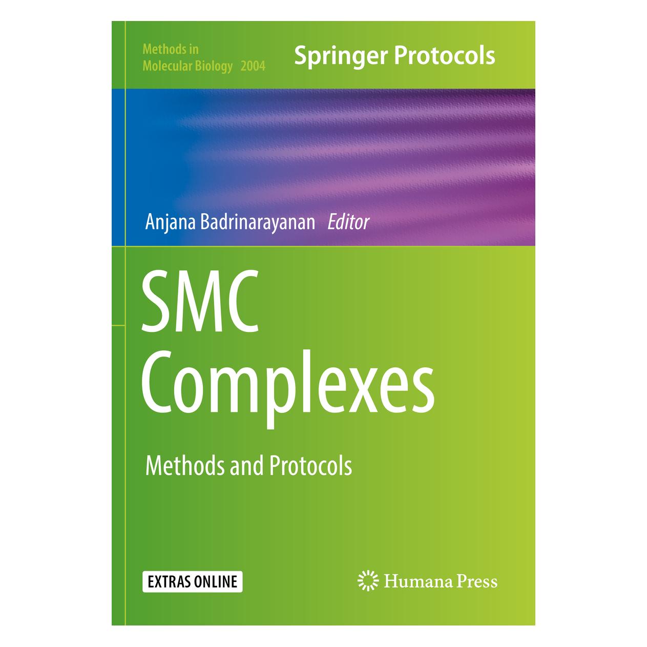 Springer SMC Complexes (Englisch, Softcover, Anjana Badrinarayanan) (56153143)