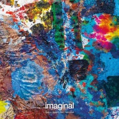 Imaginal - Girls In Airports, Vinyl