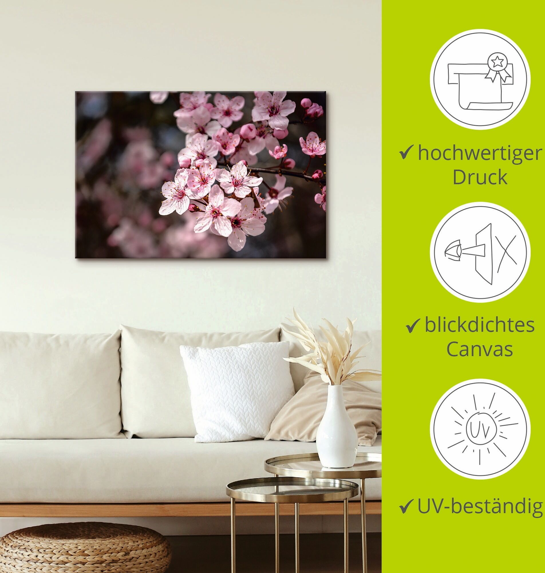 Leinwandbild ARTLAND "Kirschblüten Nahaufnahme im Sonnenlicht", pink (farbe bild(er): pink), B:90cm H:60cm, Bilder, Leinwandbild, auf Holzrahmen gespannt farbe bild(er): pink B/H/T: 90cm x 60cm, Leinwandbild Blumen Querformat, 1 Stk.
