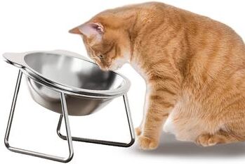 DynamicDeals Elevated Stainless Steel Cat Bowl Set With Tilted Stand For Comfortable Feeding Elevated Stainless Steel Cat Bowl Set With Tilted Stand For Comfortable Feeding