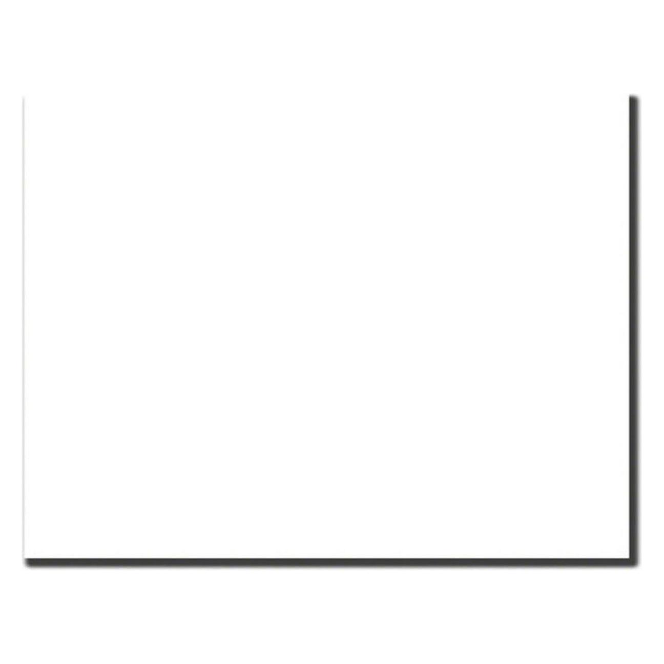 Colorama PVC, Colormatt, Super White, 100 x 130 cm (100 cm, 130 cm) (LL COCM1309)
