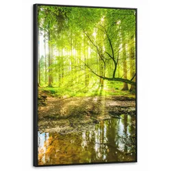 LEINWAND Bilder mit Rahmen - Wald - Landschaft - Wasser - Bäume - Sonne - Grün - Natur - 60x90