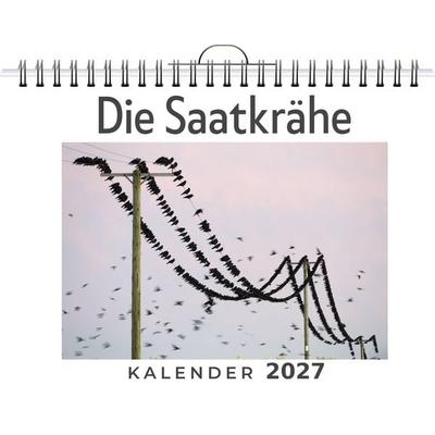 Die Saatkrähe