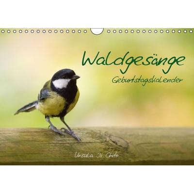 Waldgesänge - Geburtstagskalender (Wandkalender immerwährend DIN A4 quer)