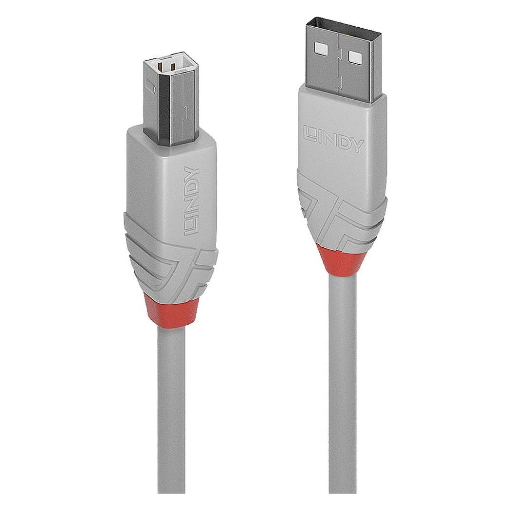 Lindy USB/A-USB/B M-M (2 m, USB 2.0) (36683)